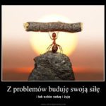 15 motywujących memów!